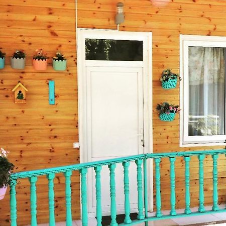 Guest House Marina 2 تبليسي المظهر الخارجي الصورة
