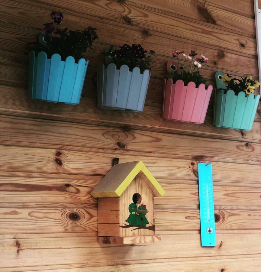 Guest House Marina 2 تبليسي المظهر الخارجي الصورة